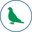 Sistema de controle de manejo de pombos