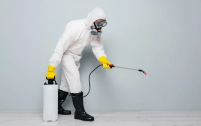 Sanitização de lojas em Cuiabá: mantenha seus clientes protegidos