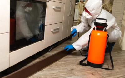 Medidas fundamentais para se adaptar ao novo normal em Cuiabá