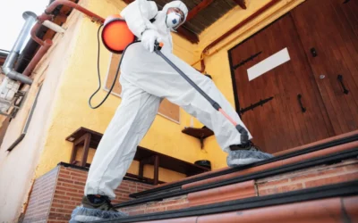 Sanitização de condomínios em Cuiabá: proteja os moradores de microrganismos nocivos