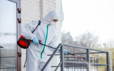 Sanitização de Escritórios em Cuiabá: mantenha a segurança contra o coronavírus