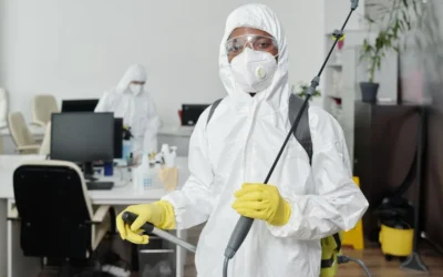 Valor da Dedetização: vale mais contratar o serviço profissional do que ter problemas com as pragas urbanas