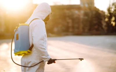 Dedetização: Como Evitar Surpresas nos Custos?