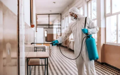 Dedetização Segura em Escolas: cuidados para proteger crianças e funcionários