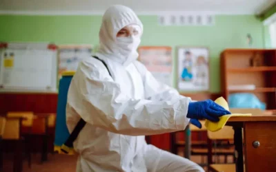 Principais pragas em ambientes escolares e como combatê-las de forma eficaz