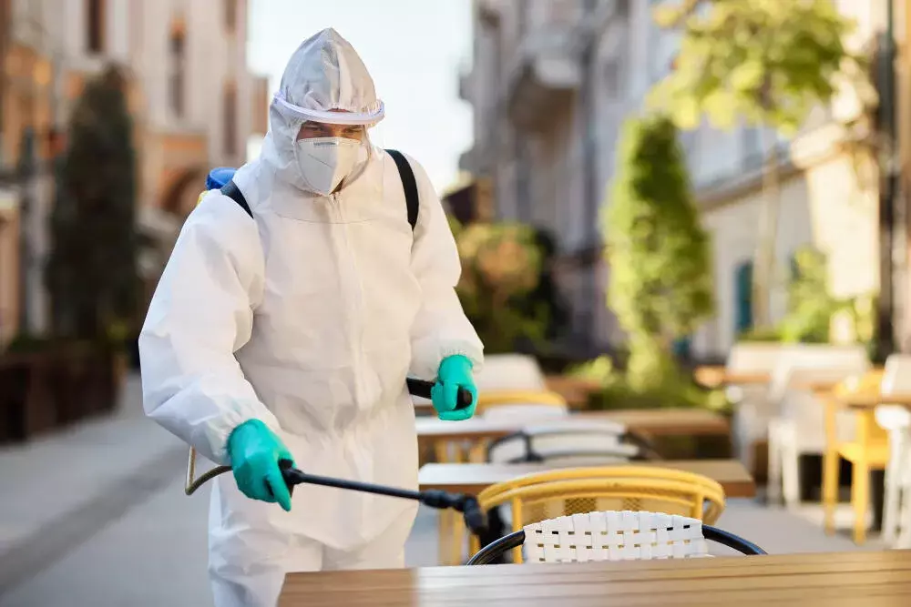 Pragas mais comuns em empresas do setor alimentício e como controlá-las
