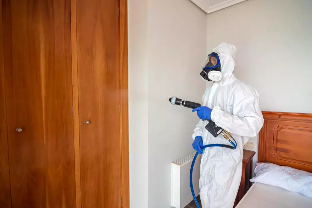 Cronograma ideal de dedetização para condomínios: frequência e melhores práticas