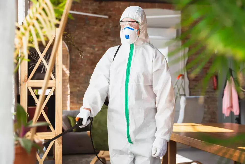 Impactos econômicos e de saúde ao optar pela dedetização preventiva em Cuiabá