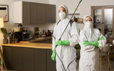 Controle de pragas em condomínios em Cuiabá – MT: erros que causam reinfestações