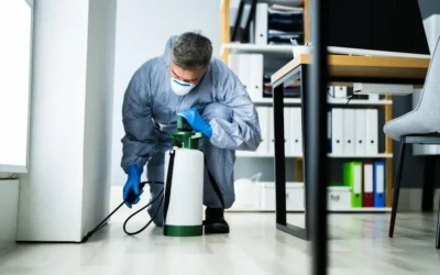 Contrato de controle de pragas em Cuiabá – MT: vantagens da manutenção contínua