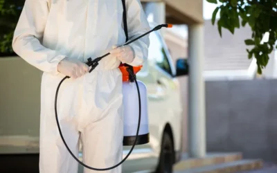 Controle de pragas recorrente em Cuiabá – MT: sinais de alerta no ambiente